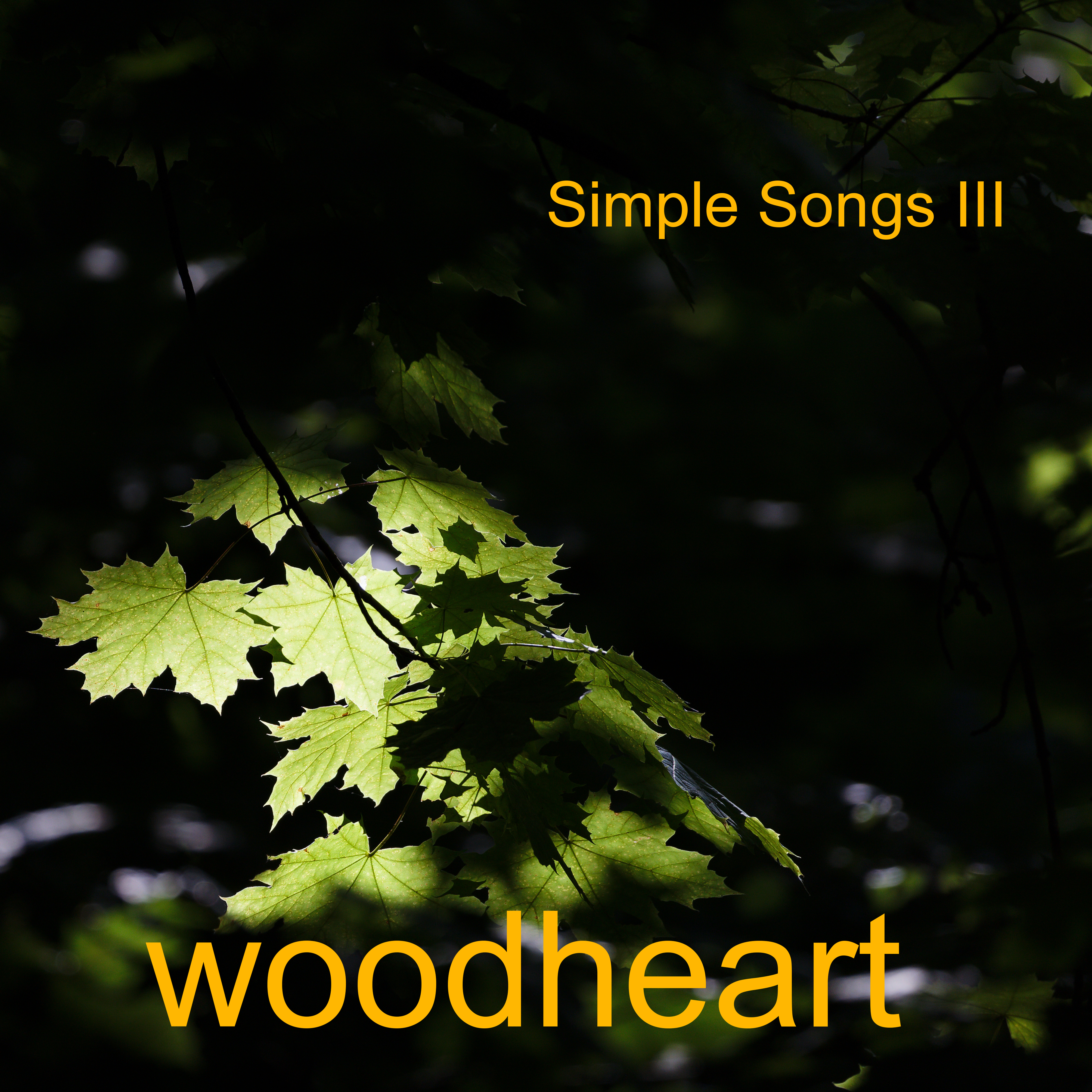Simple Songs III cover