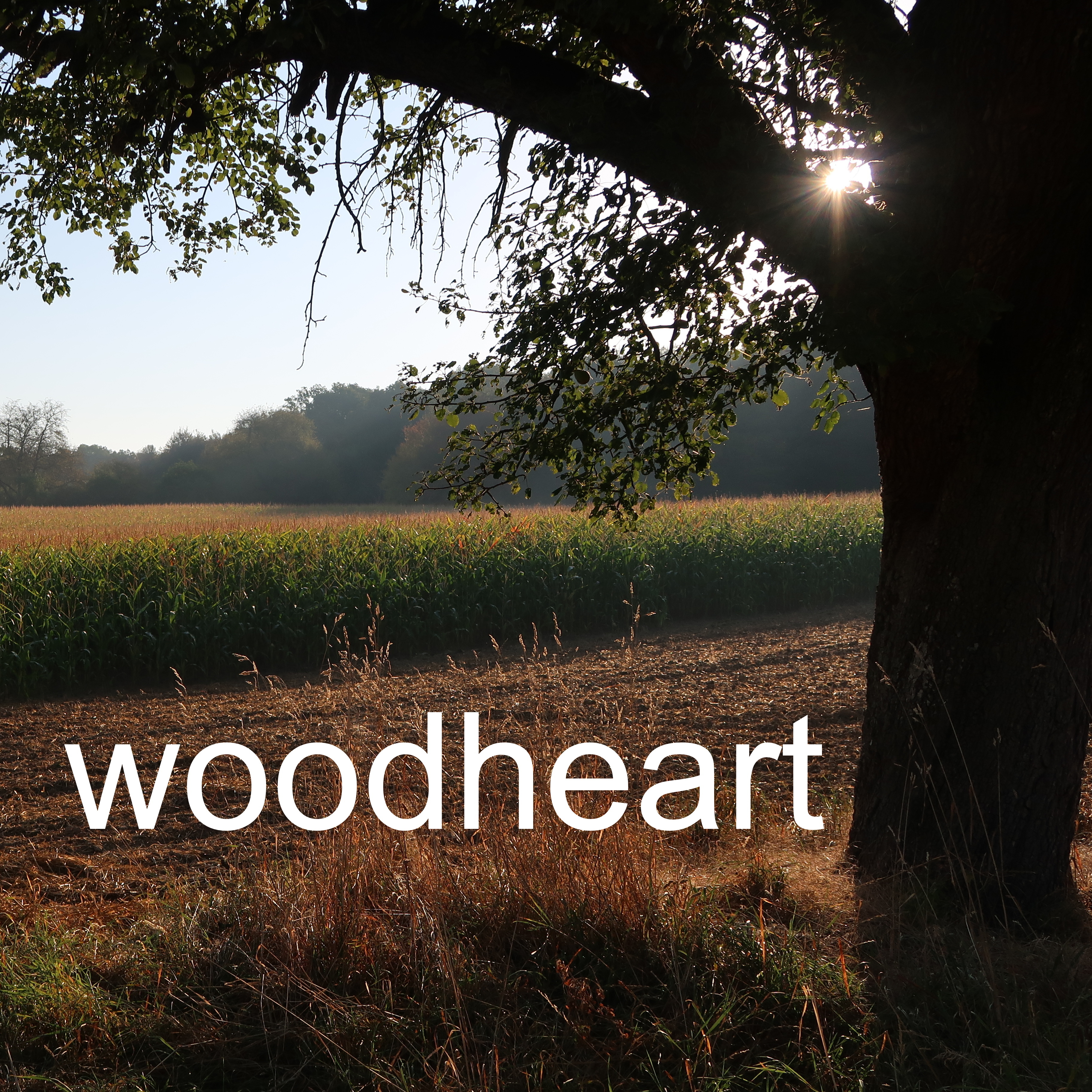 Simple Songs I cover